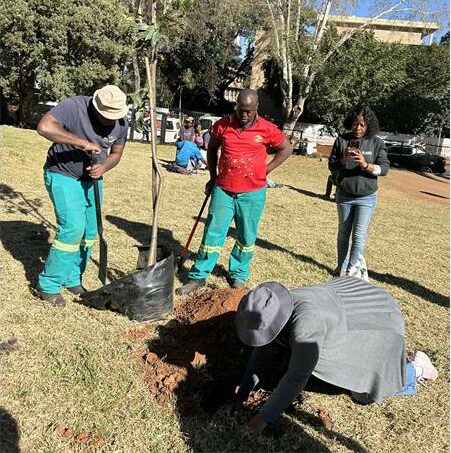 Description: Bongiwe Ndondo prepares the soil to plant a tree on July 17, 2026. Photo: Asanda Matlhare