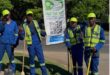 Team members of the Pave the Way community initiative work to clean and restore pavements along major routes like Jan Smuts Avenue, providing employment and purpose for displaced individuals. Photo: Naziya Davids-Easthorpe