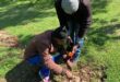 At Zoo Lake on October 1, 2026, a private electrician crouches over the exposed cable while a colleague holds a phone and a testing device beside him. They are checking whether the wires are still live. Photo: Naziya Davids-Easthorpe