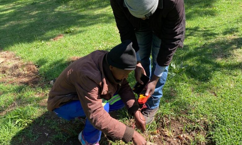 At Zoo Lake on October 1, 2026, a private electrician crouches over the exposed cable while a colleague holds a phone and a testing device beside him. They are checking whether the wires are still live. Photo: Naziya Davids-Easthorpe