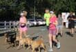 Participants run alongside their dogs during the breast cancer awareness walk at Pirates Club in Greenside on October 25, 2026. Photo: Naziya Davids-Easthorpe