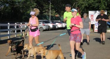 Participants run alongside their dogs during the breast cancer awareness walk at Pirates Club in Greenside on October 25, 2026. Photo: Naziya Davids-Easthorpe