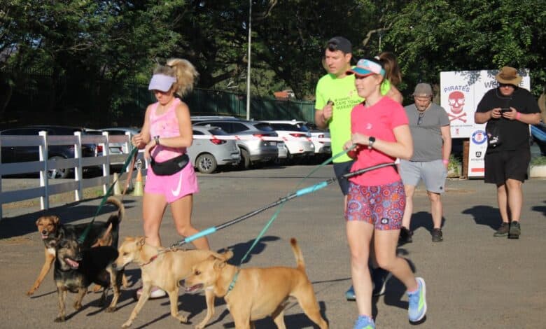 Participants run alongside their dogs during the breast cancer awareness walk at Pirates Club in Greenside on October 25, 2026. Photo: Naziya Davids-Easthorpe