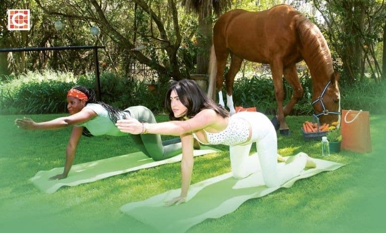 Recharge at Bridgewaters Horse Park wellness day in Hekpoort1