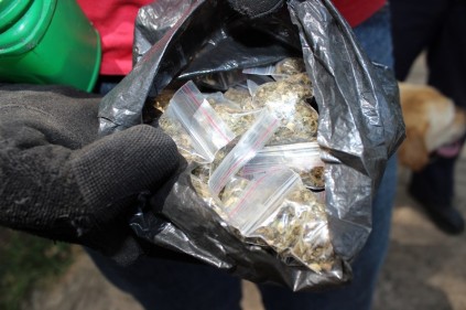 Dagga is found at one of the houses in the central business district on Friday, February 28.