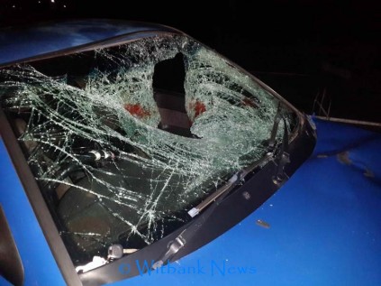 Just one of the vehicles that were involved in a pedestrian accident over the weekend. 