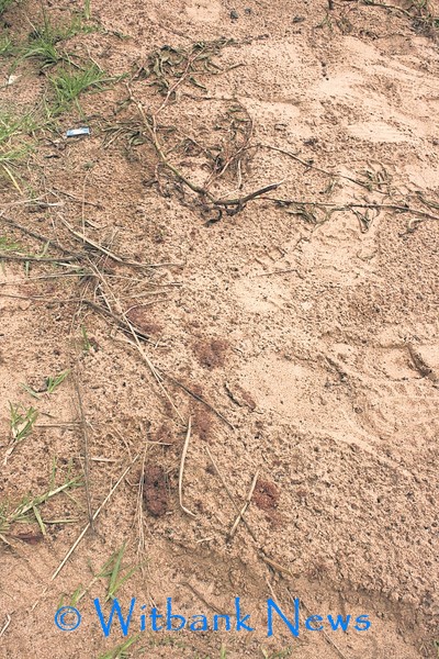 Bloodstains were found at the scene of the crime after a body was found in Lynnville.