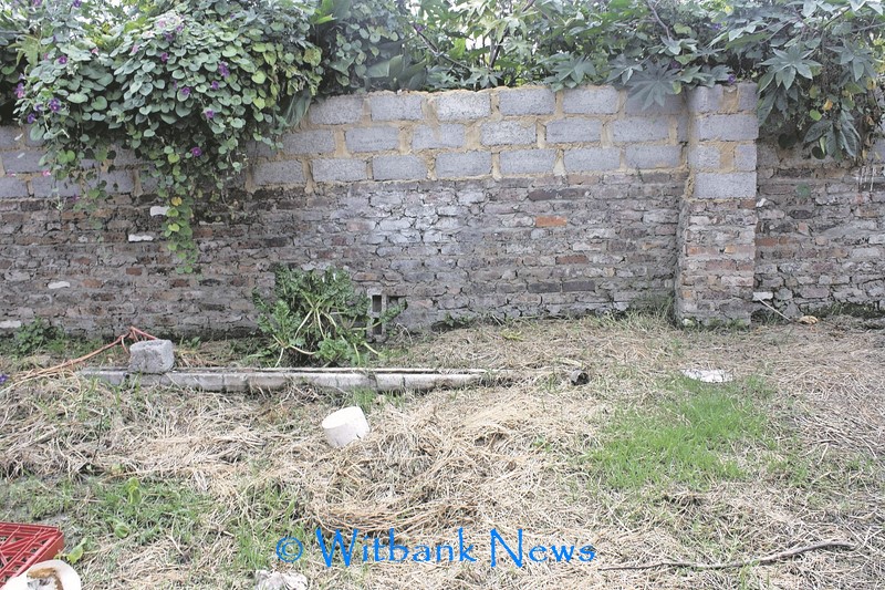 The sewage has affected a vegetable garden in the yard of Ms T. Shabangu.  