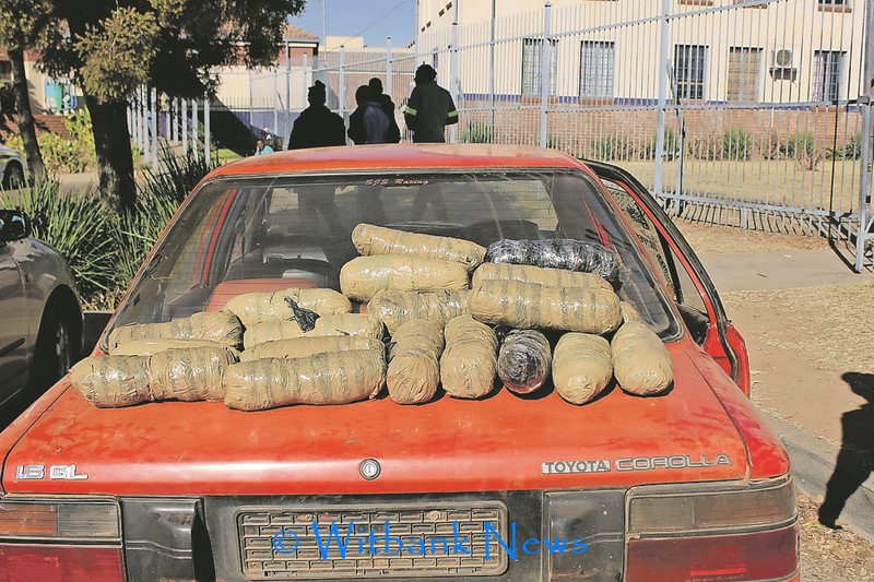 Behind door panels of this car, 19 ‘arms’ of dagga were discovered.