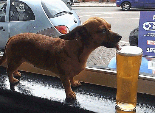 beer