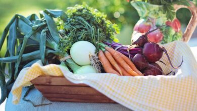 Alice Coetzee - 24-02-2023 - gardening - grow your own Photo 1