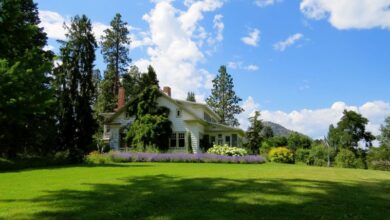 pexels-dianne-226407-759x500