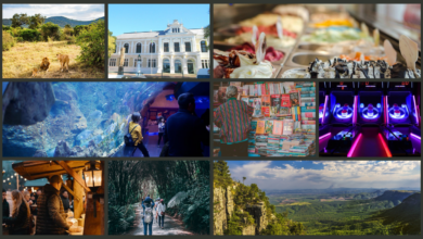 LNN Featured Image_1