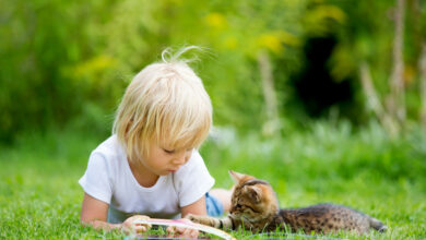 Raising an introvert