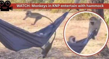 Law-and-firm-instagram-post-780-x-400-px31-1