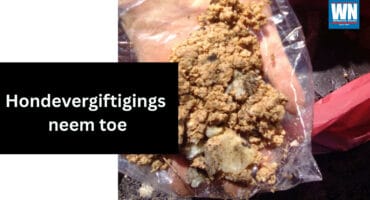 Troeteldiereienaars word gewaarsku om uiters versigtig te wees aangesien hondevergiftings weer toeneem.