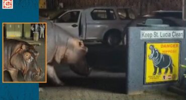 Nev_Lifestyle feature images - 8