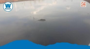 Small dam in Masakhane.