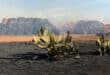 Brande saai verwoesting in eMalahleni-omgewing.