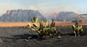 Brande saai verwoesting in eMalahleni-omgewing.