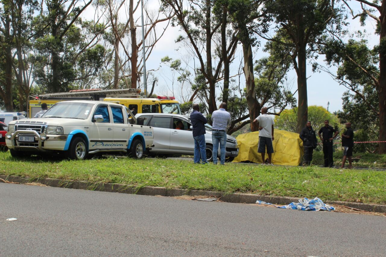 Woman killed after car collides with tree on Higginson Highway | Rising ...
