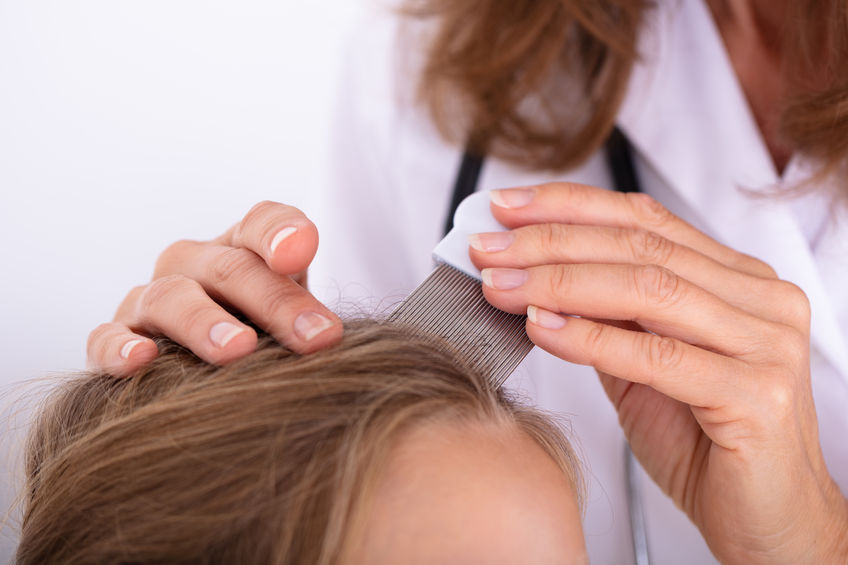 Dealing with head lice in children: Tips for parents | Rising Sun ...