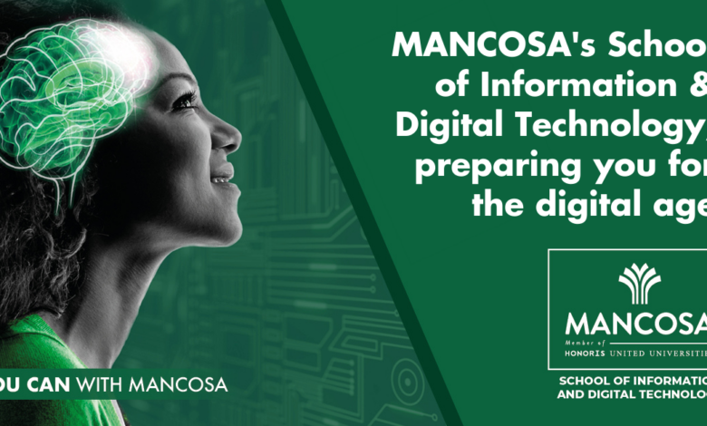 Ahmet Can visual data 8