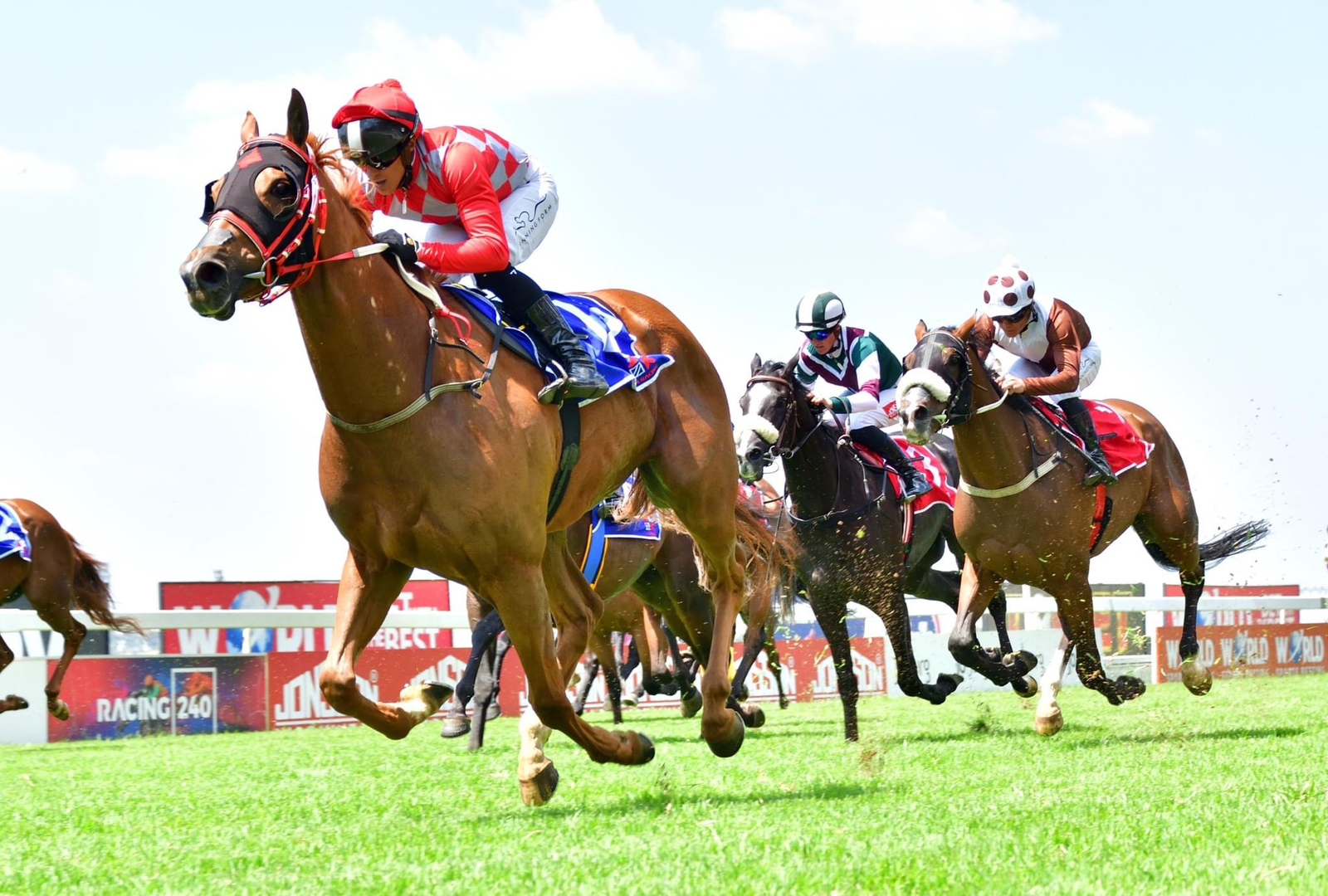 Locally bred Son of Raj gallops to glory | Rising Sun Newspapers