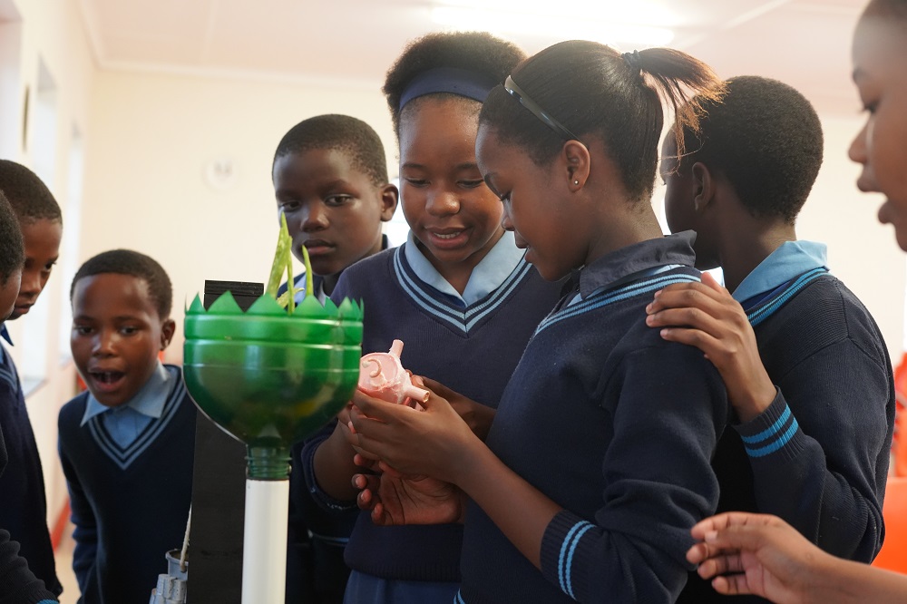 Recycling gets Bizana pupils thinking outside the box to reuse waste ...