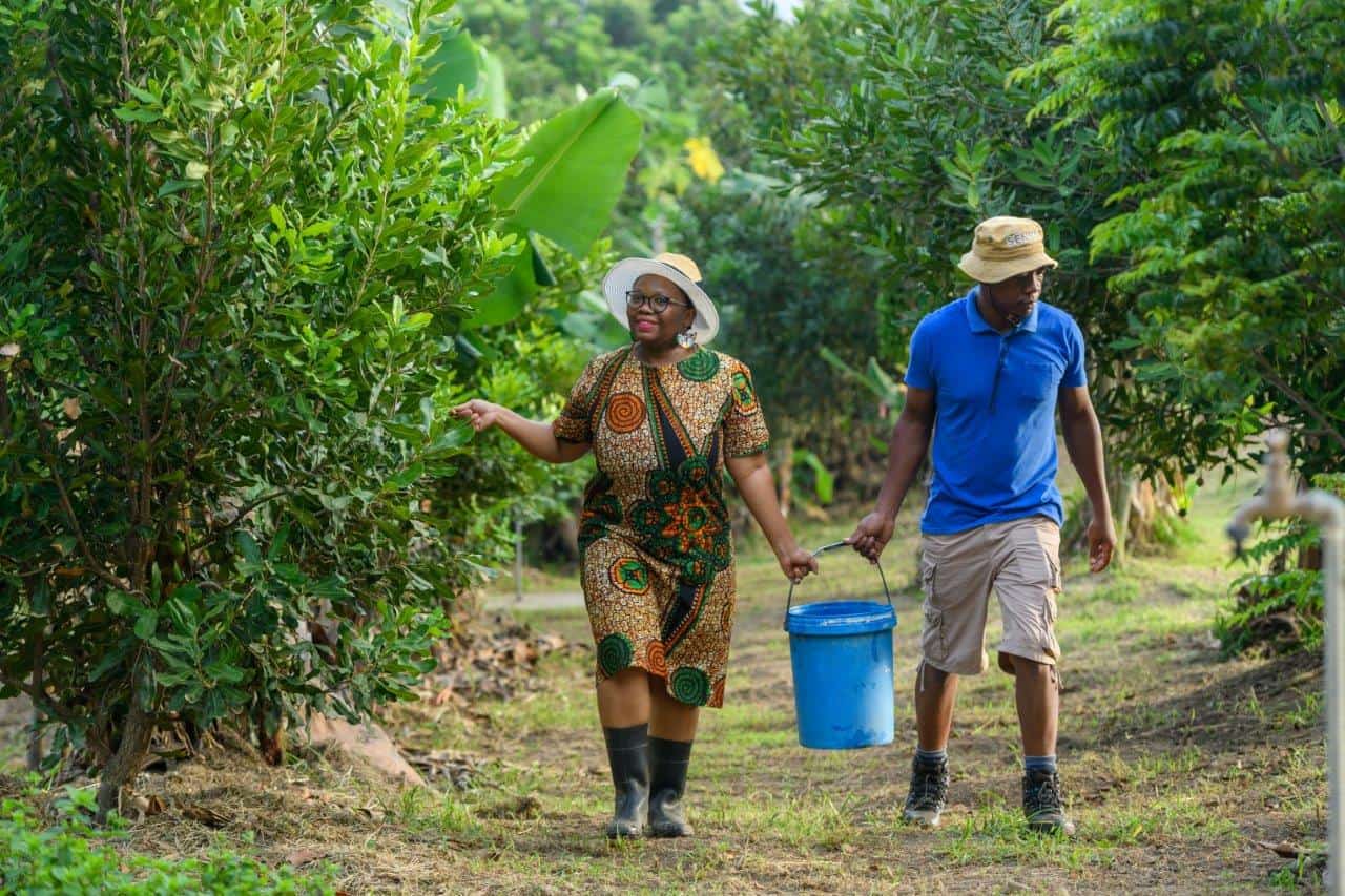 Top 10 must-visit rural attractions on the KZN South Coast