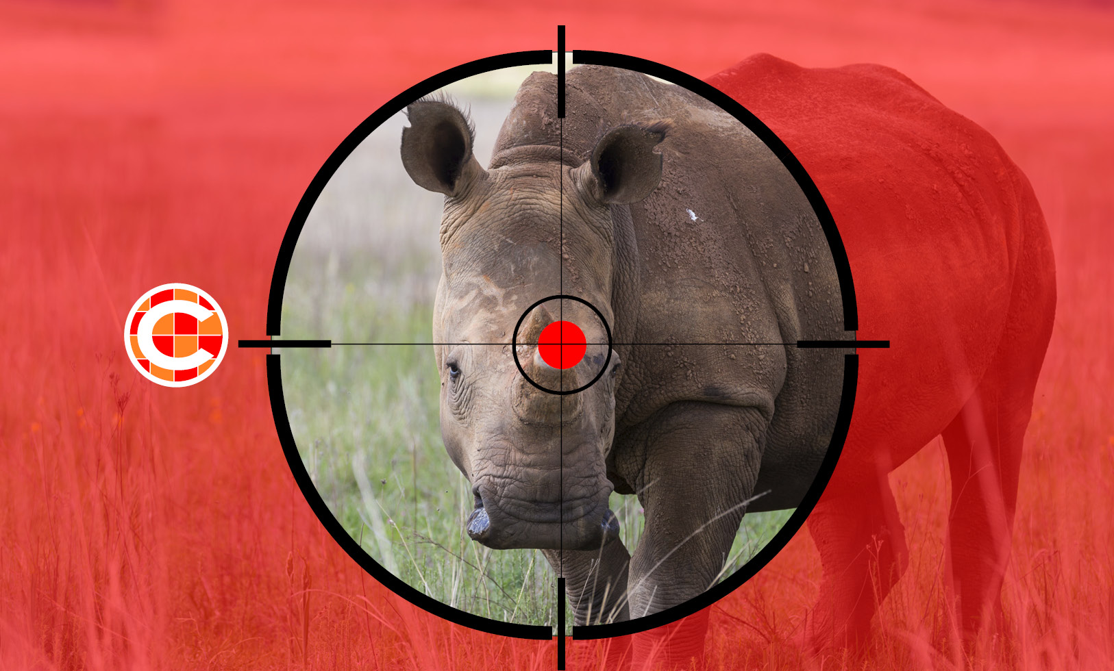 No mercy for rhino poachers