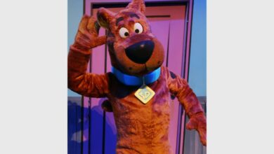 01ScoobyScooby-DooL_08904