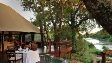 05-tented_area.jpg.860x455_q70_crop-scale