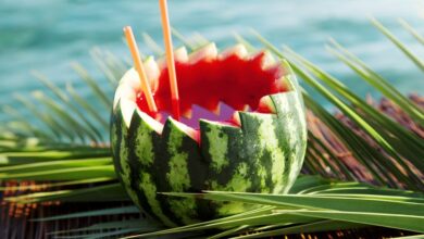 10551735 - watermelon cocktail by the sea