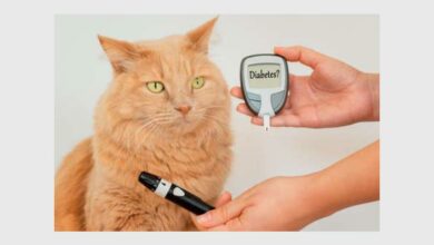 164007162_comp_40454