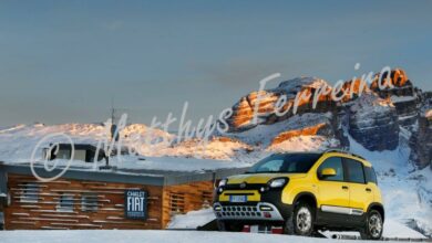 180313_Fiat_Nuova_Panda_Cross_03-001