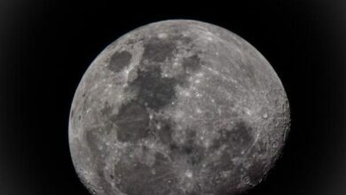 1_SS_001_Moon_Anna_42849