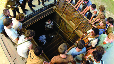 2014 Movies Maze Runner