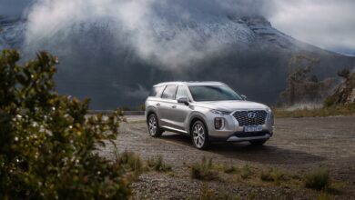 20210830palisade-7_1800x1800