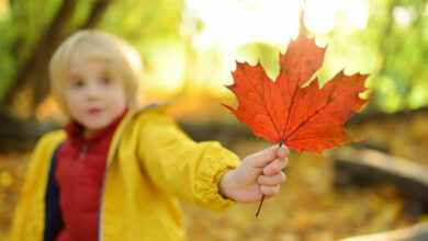 3 Eco-friendly activities for kids