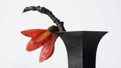 432d92dfdd7541c4bd4950354ad43e44_ai