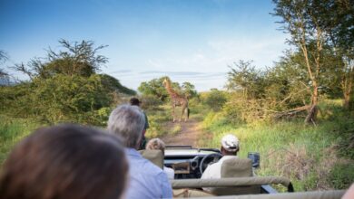 9_Shingwedzi_Rest Camp (Medium)