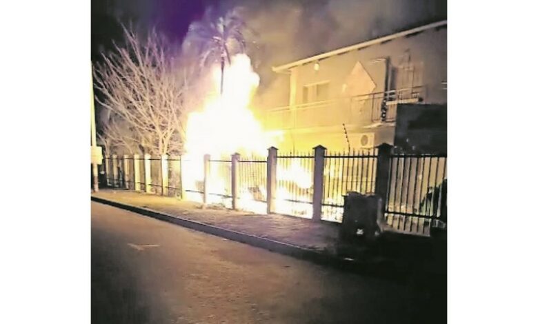 tree and building on fire