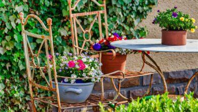 Alice Coetzee - 20-05-2022 - gardening - container gardening photo 1 (Medium)