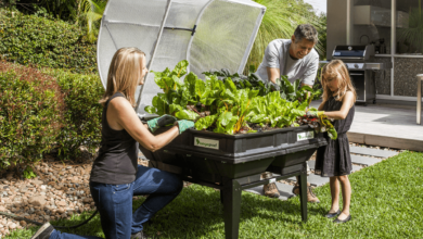 AliceCoetzee-09-07-2021-gardening-grow your own photo1