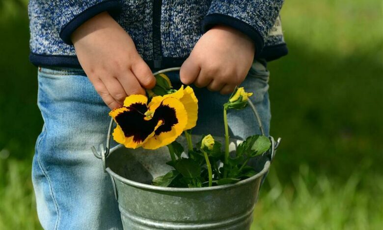 AliceCoetzee - 11-03-2022-gardening -get ready for autumn; photo 1 (Medium)