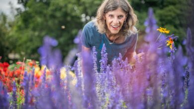 AliceCoetzee -27-07-2021-gardening-plan your summer garden photo 1