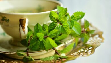 AliceCoetzee-31-12-2021-gardening-herbs-photo 1 (Medium)