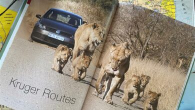 Attachment1 (005) (Medium)