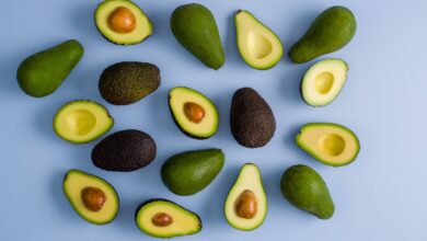 Avo web main